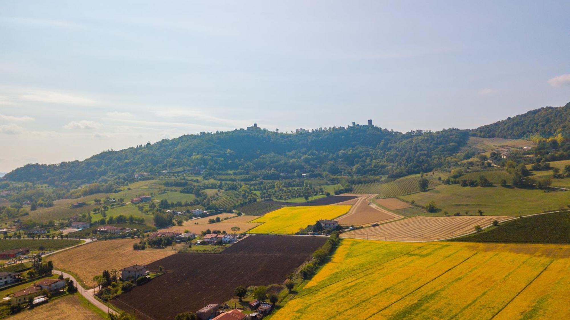 Agriturismo Riva Ratta Montecchio Maggiore Ngoại thất bức ảnh